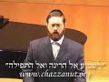 chazan moshe muller - hashem hashem -