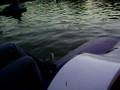 videos de Bosques de Palermo IV
