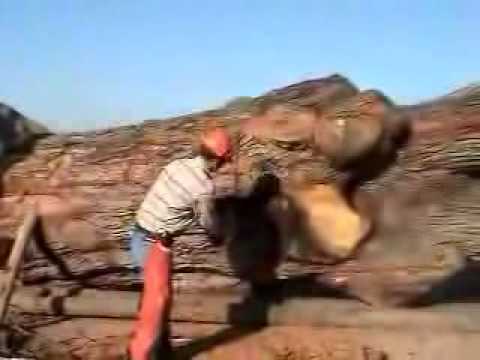 Splitting lumber with black powder