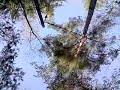 Strid 2 2008