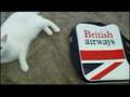 BELLA-S-BRITISH-AIRW