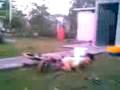 videos de eder javier perez  cano