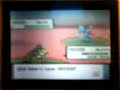 pokemon perla/diamante