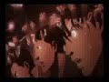 media-vida warrior