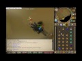 King Black Dragon -Solo Video- Guide For Beginners-