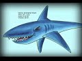 Cartoon Marine Life Stickers