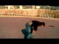 Best of Andrea Catozzi (07)