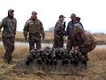 duck hunting : mallard hunt in alberta 