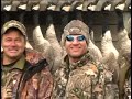 duck hunting : mallard hunt in alberta 