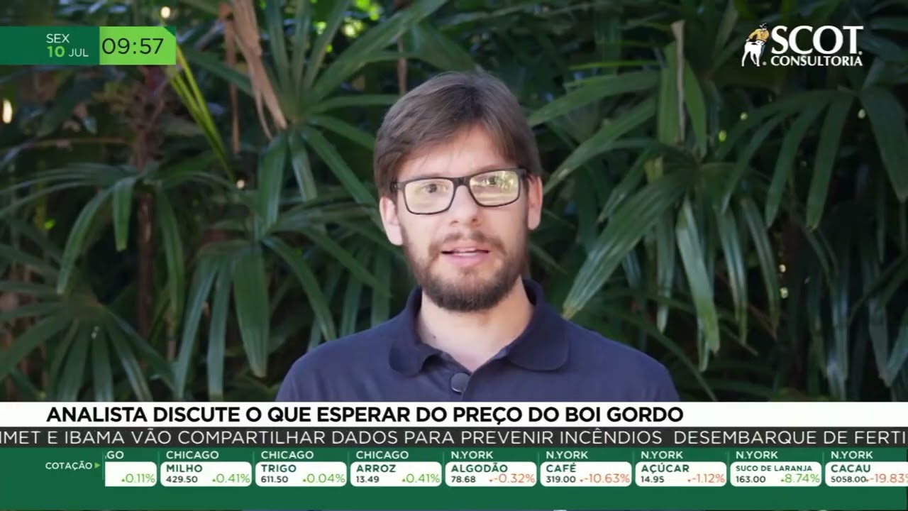Scot Consultoria discute o que esperar do preço do Boi Gordo