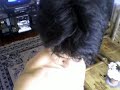 whipplash