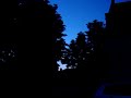 Scops owl calling Scops owl calling
