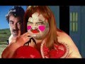 The Chronicles Of Selleck