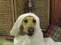 Durka Durka Muhammad Jihad Durka Durka Muhammad Jihad