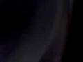 videos de bufob se espanta