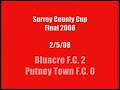 Surrey County Cup Final 2008