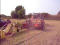 Borga pers in stro bij Kommerzijl
