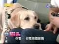 兒子第二次上鑽石夜總會...1