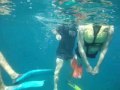 Snorkeling in the Great Barrier Reef 1 - YouTube