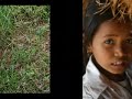 cambodian self help demining