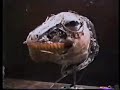 Yoshi animatronics from the Super Mario Bros. Movie
