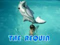 petite parodie de la fameuse s�rie tv 