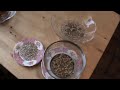 Why and How To Soak & Sprout Nuts & Seeds, Ep116