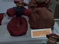 monterey county fair 7