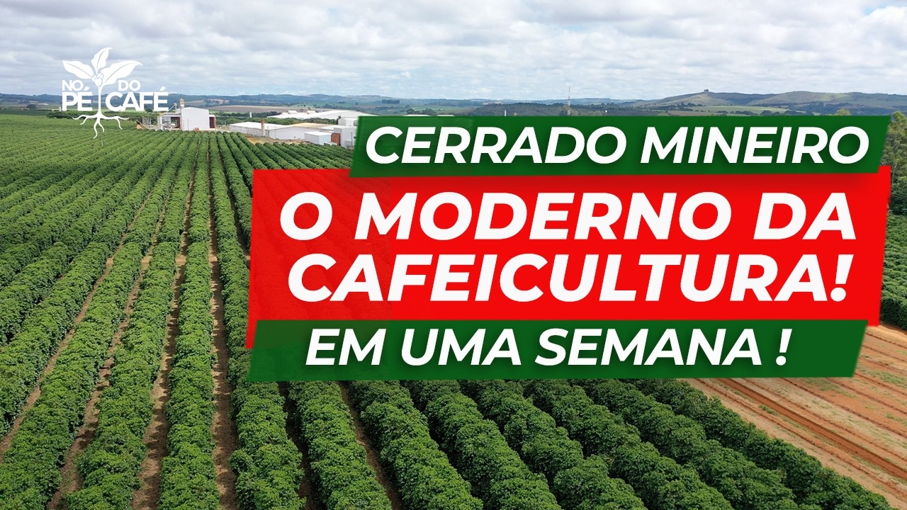 PLANTIO, VARIEDADES, PERSPECTIVAS PARA O CAFÉ. Assuntos da Semana da Cafeicultura Moderna!