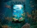 Under the Sea