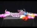 PBS 39 - Student Artist of the Week - Megann Janowiak