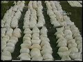 Plan Colombia # 1