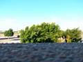 videos de Photos of my World 2