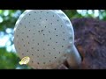 Kelah Haven_Part 1