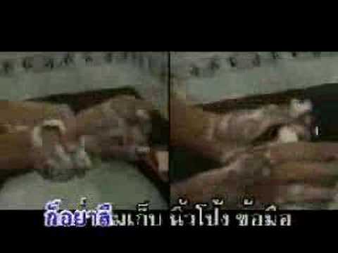 Thai bird flu prevention songs