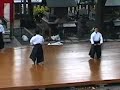 Yagyu Shingan Ryu Heijutsu Taijutsu II