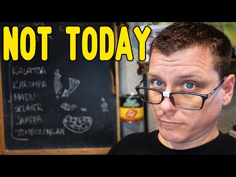 YouTube reptile video