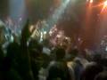 videos de Jeezy