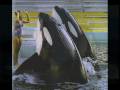 lolita the orca lolita the orca