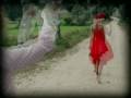 videos de Michal Hochman - Proste Linie