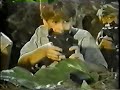 80\