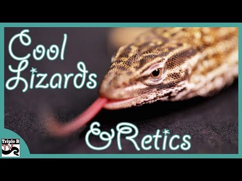 YouTube reptile video