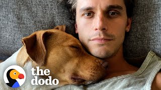 Will Queer Eye’s Antoni Porowski Foster Fail This Pittie? | The Dodo You Know Me Now Meet My Pet by The Dodo
