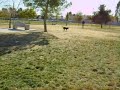 riley running