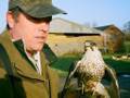 Proper falconry