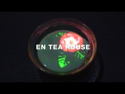 TeamLab Borderless En Tea House