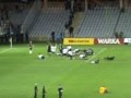 KORONA KIELCE - Stal Stalowa Wola - reportaż