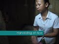 Collection of Lahu Dances