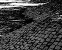 N�o pise, afague (don\