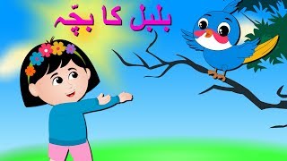 Bulbul Ka Bacha Urdu Poem  بلبل کا بچہ  U